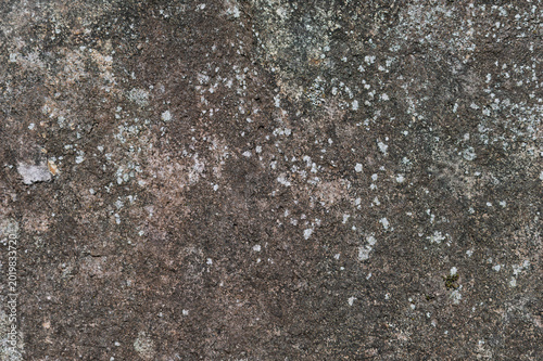 Photography Ancient rock surface texture with natural weathering and moss