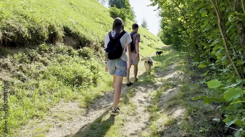 young people walking with dogs in the woods