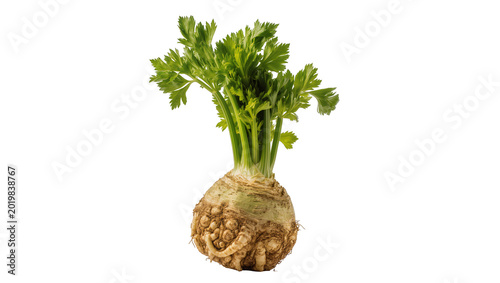 Whole celeriac root with green leafy tops, isolated on transparent background
