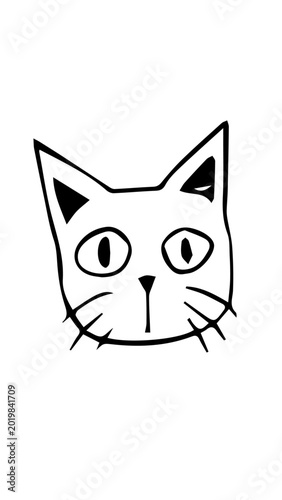 gatito