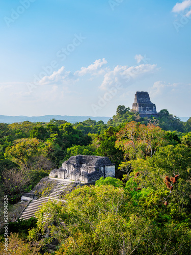 View over Talud-Tablero Temple 5C-49 towards Temple IV in Tikal, Peten Department, Guatemala