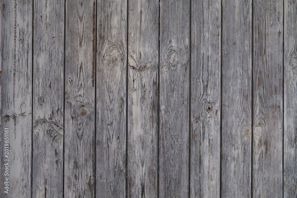 Fototapeta premium Close up stock photo of wooden barn doors with wood grains. Texture of wood. Photography.