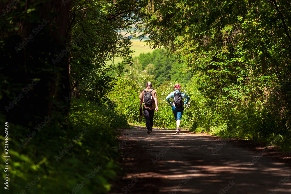 Fototapeta premium young couple walking in the woods. Hike through the forest