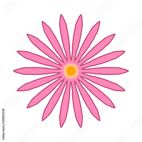 pink daisy flower