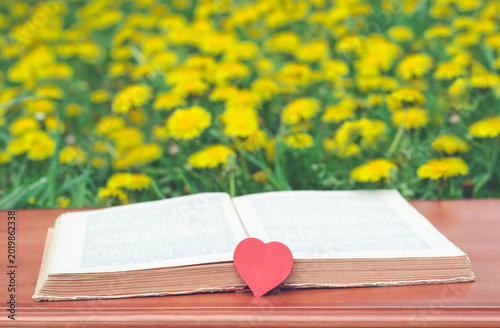 Open book with red heart bookmark and yellow dandelion flowers background