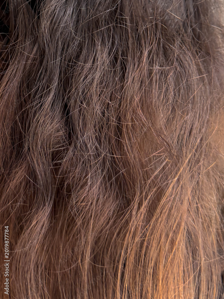 Fototapeta premium Natural wavy brown hair texture with soft copper highlights, detailed closeup for beauty, cosmetics, hairstyling, wellness, fashion, salon advertising, healthy care concept