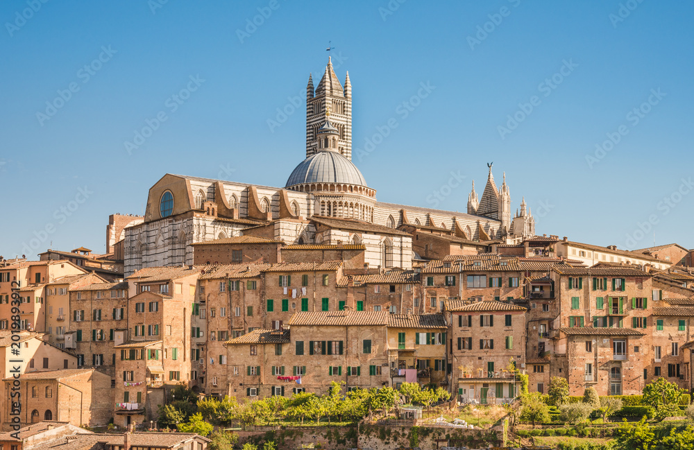 Fototapeta premium Siena, medieval town in Tuscany view of the Dome and Bell Tower of Siena Cathedral, Basilica of San Domenico, Italy