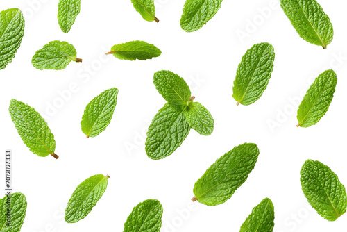 Fresh mint leaves isolated on transparent background. Fresh green mint leaves scattered isolated on white background.