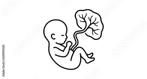 Obraz na plátně Fetus icon vector prenatal baby with placenta medical symbol illustration
