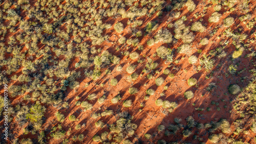 Photos Top Down Aerial View of Spinifex Grass on Red Desert Sand