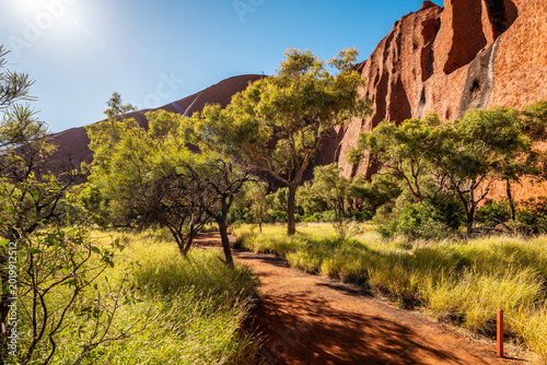 Foto Walking Trail Through Native Bushland Beside Uluru in Northern Territory