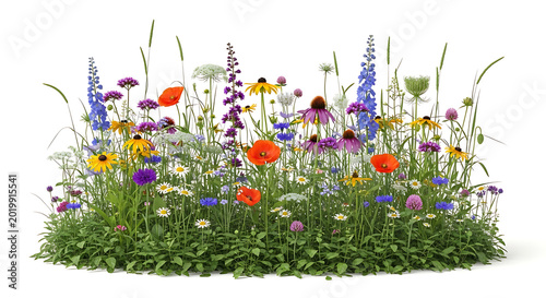 Isolated wildflower patch, lush summer meadow blooms, tall grass plants, scenic herbal groundcover

