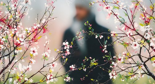 spring in the forest
