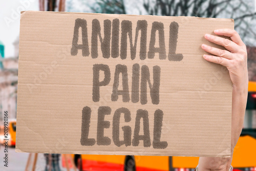 Canvas Print "Animal Pain Legal" Inflicting pain on animals in food production remains protected by existing law