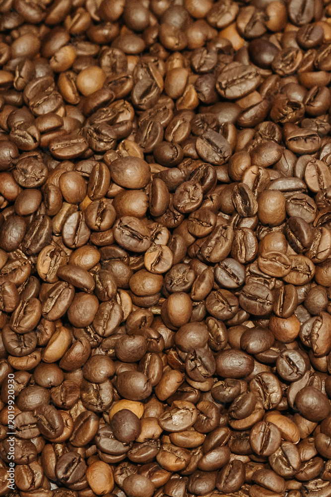 Fototapeta premium Vertical close-up of medium roasted coffee beans. Full frame background of aromatic brown coffee seeds, showing natural texture, oily surface, and various shapes after roasting.