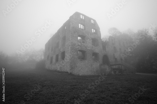 Photos Medieval Ruins Shrouded in Mist in the Small German Town of Oppenheim