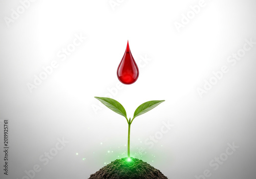 Blood Drop and Green Sprout Representing Life and Donation