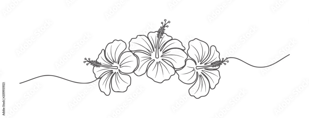 Εκτύπωση καμβά Three black and white hibiscus flowers connected by curved stems monochrome