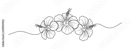 Billede på lærred Three black and white hibiscus flowers connected by curved stems monochrome
