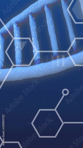 Vertical video: Camera pan triggers DNA helix drifting and rotating to reveal rungs in science UI