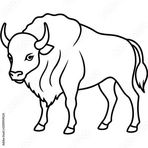Wild Bison Line Art Design Editable