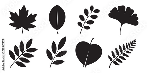 Photos Detailed foliage silhouette pack with multiple leaf types for botanical vector art and decoration