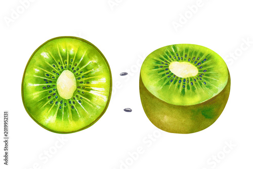 Hand-painted watercolor set of a kiwi fruit, with a top-down view of a circular slice and a side view of a halved kiwi and two isolated seeds on a isolated background. Botanical illustration is