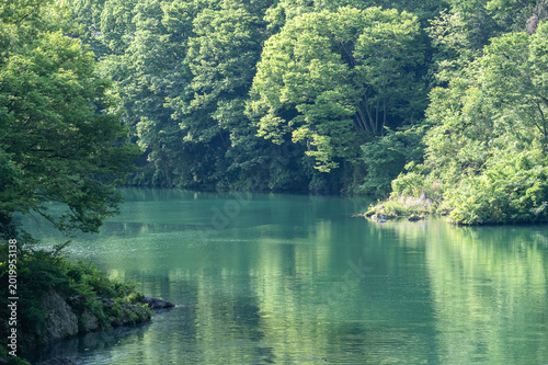 新緑に囲まれた埼玉県長瀞町の荒川の風景