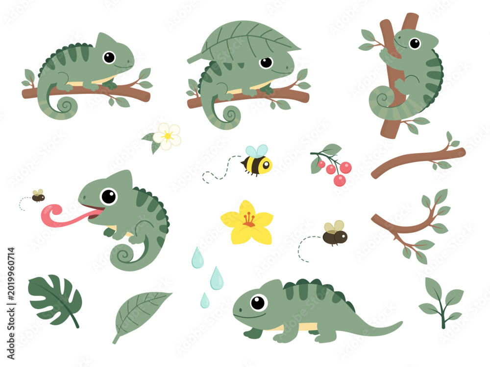 Fototapeta premium Set of cute chameleons, branches, leaves, flowers and insects in flat cartoon style for kids design and jungle theme