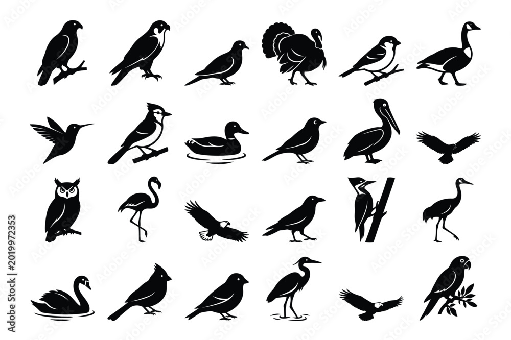 Fototapeta premium Black and white bird silhouettes collection featuring eagle owl flamingo and parrot icons.