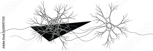 Photos Minimalist Line-Art Vector Illustration of Two Interconnected Neurons with Dendr