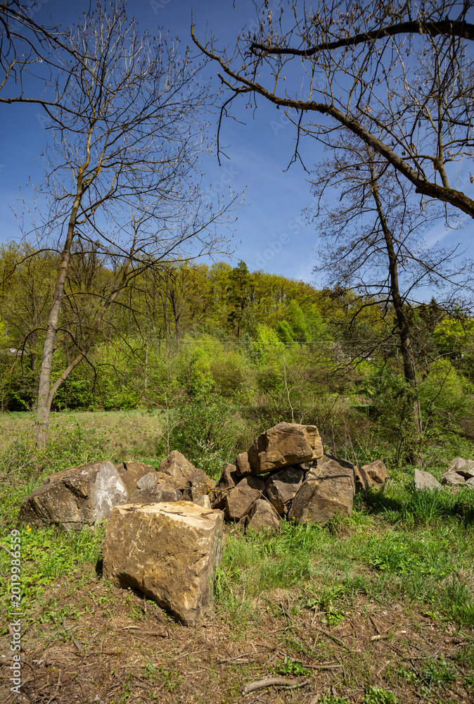 Fototapeta premium Large sandstone blocks in the grass