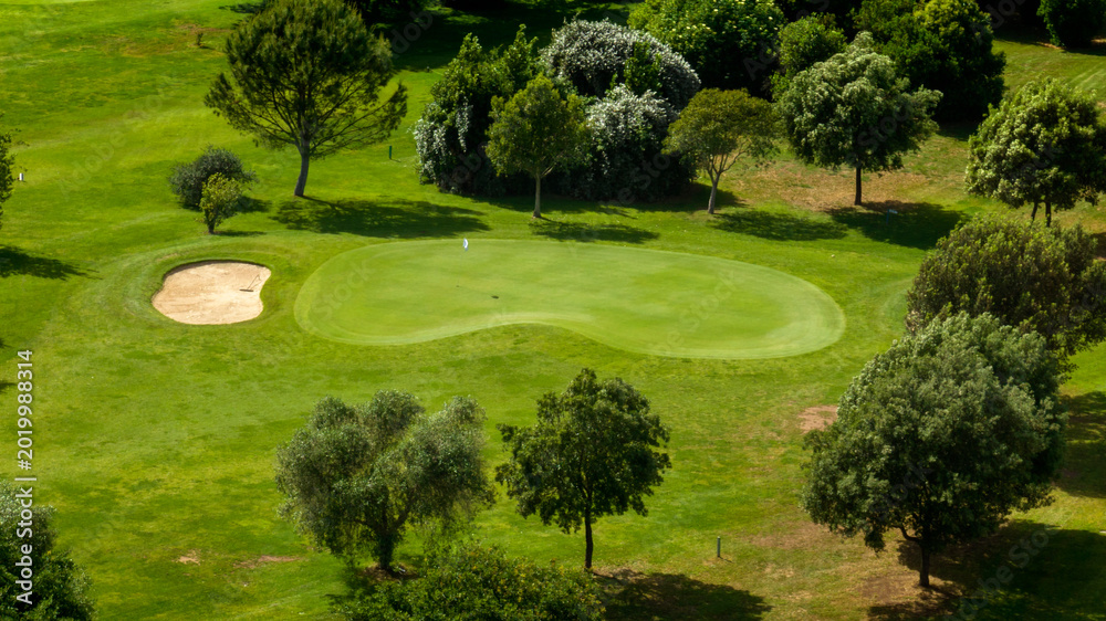 Fototapeta premium High-angle aerial view of a vibrant green golf putting green with a tan sand bunker, and a backdrop of lush leafy trees under the bright, clear glow of summer afternoon light. The golf club is empty.