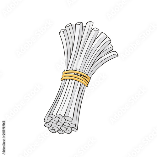 A bundle of white reed stalks tied with a yellow string, depicted in a simplified graphic illustration style.