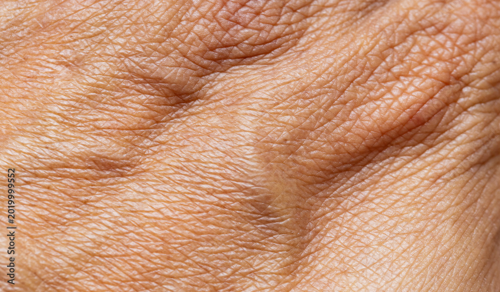 Naklejka premium Extreme close-up macro of human skin texture showing aging lines and wrinkles,Macro,A detailed macro shot of human skin, highlighting the natural texture, pores, and intricate patterns of wrinkles,