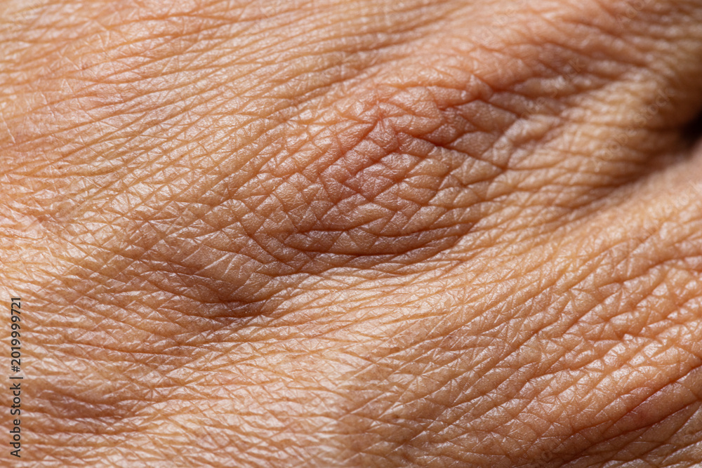 Fototapeta premium Extreme close-up macro of human skin texture showing aging lines and wrinkles,Macro,A detailed macro shot of human skin, highlighting the natural texture, pores, and intricate patterns of wrinkles,