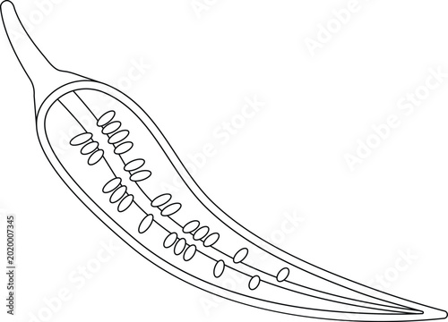 Foto Sliced Chili Pepper Outline Icon Illustration on White Background