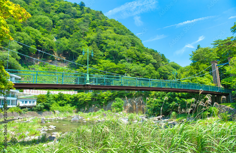 Fototapeta premium 栃木県那須塩原市 塩原温泉を流れる箒川に架かる山ゆりの吊橋