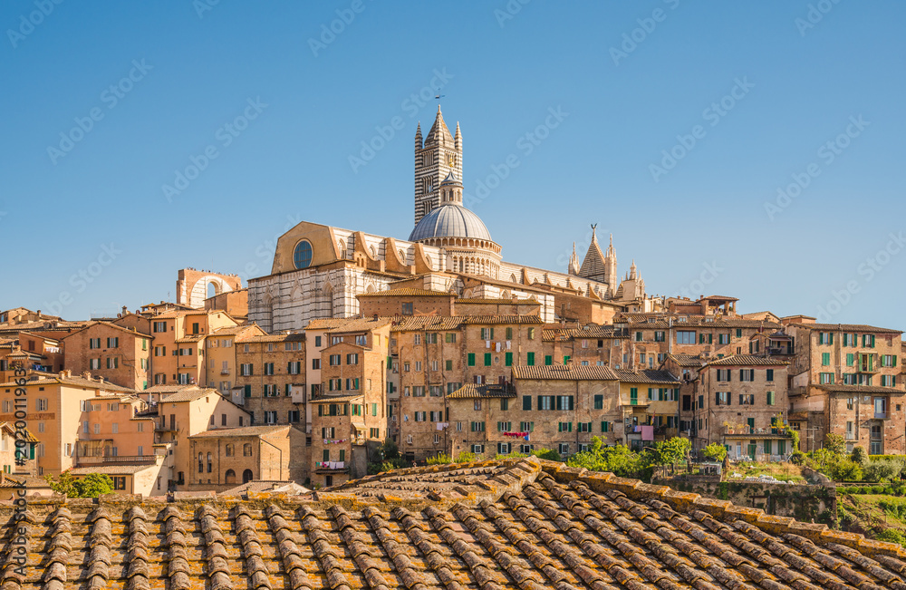 Fototapeta premium Siena, medieval town in Tuscany view of the Dome and Bell Tower of Siena Cathedral, Basilica of San Domenico, Italy