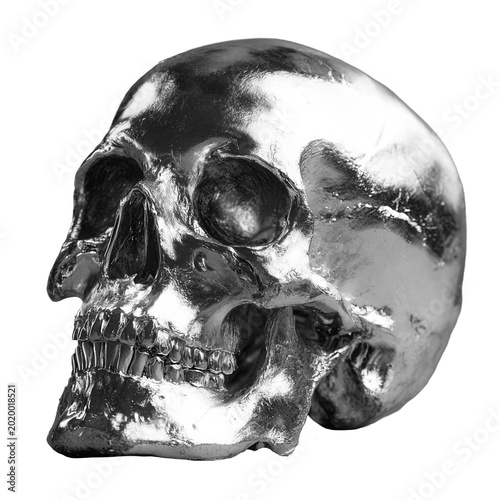 Polished silver human skull isolated on a transparent background