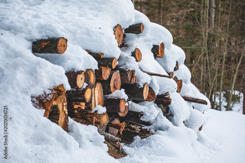Εκτύπωση καμβά catasta di tronchi di alberi tagliati coperta da fitti strati di neve e lasciati