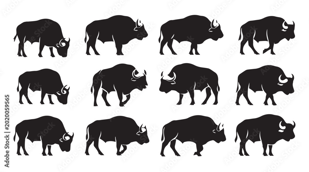 Fototapeta premium Bison silhouettes in various poses against a white background for graphic design
