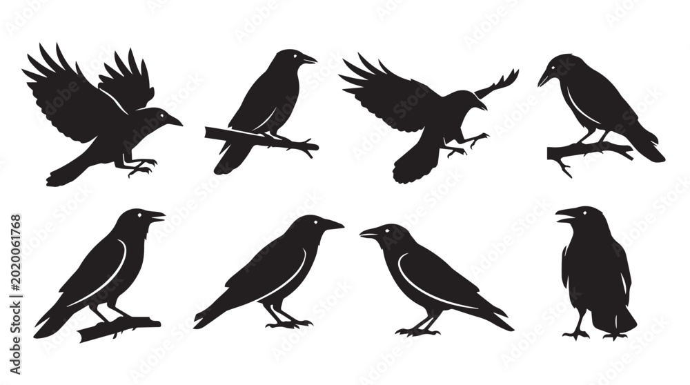 Fototapeta premium Crow silhouettes in various poses against a white background during dusk with a conceptual feel in a vector style
