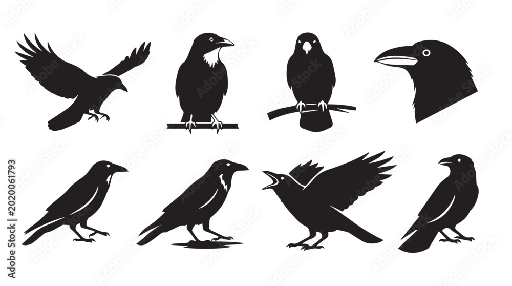 Fototapeta premium Crow silhouettes in various poses against a white background for graphic design elements