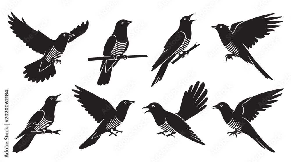 Fototapeta premium Diverse bird silhouettes in flight and perched during daylight against a clean white background