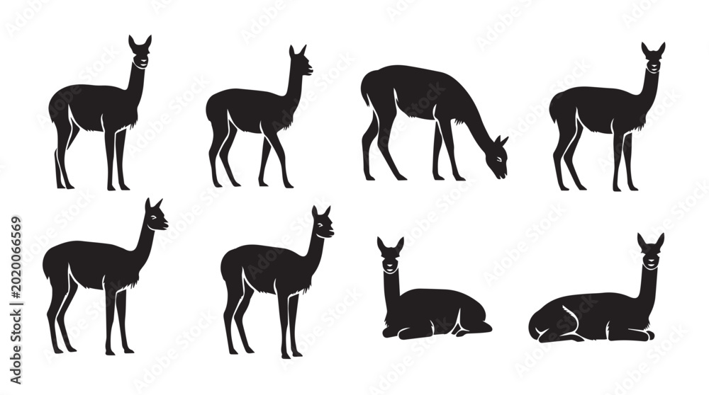 Fototapeta premium Llama silhouettes against a bright sky showing various poses in natural light for design