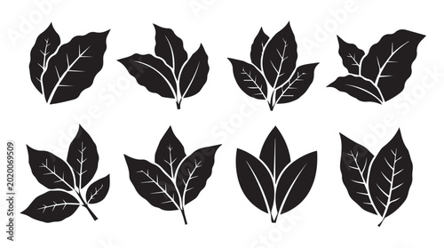 Tobacco leaves in silhouette against a white background showing growth and agriculture concepts