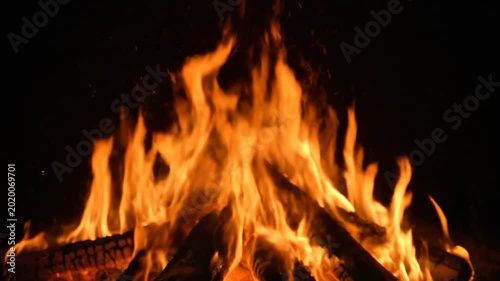 Campfire burning with bright orange flames on logs at night, close up footage for video backdrop.