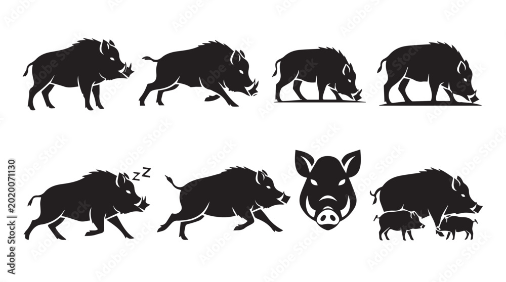 Obraz premium Wild Boar Silhouette Collection Running Grazing Sleeping and Facing Forward with Piglet