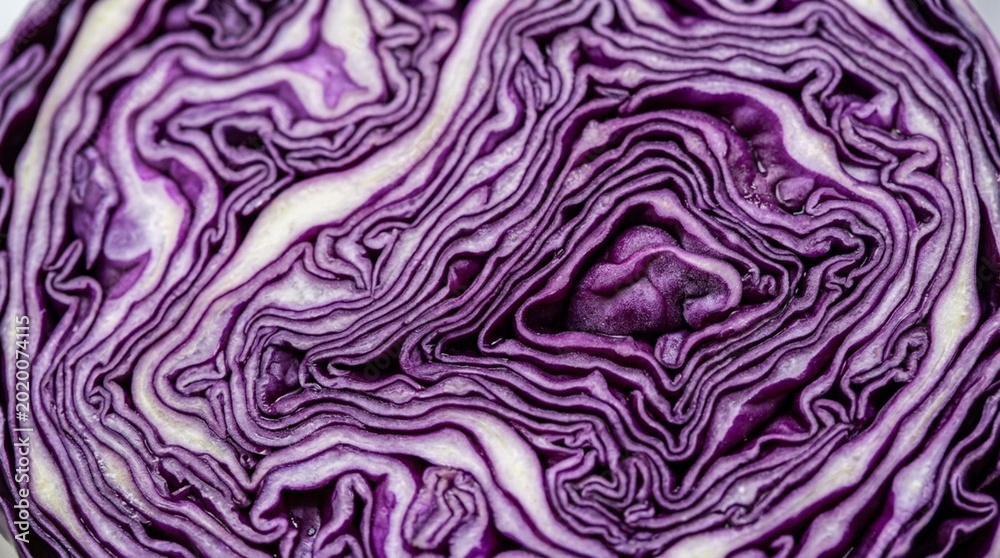 Obraz premium Detailed Cross Section of Purple Cabbage Showing Natural Patterns
